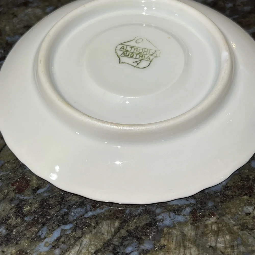 Vintage Altrohla Austria Enamel Flower Porcelain Tea Cup & Saucer collectible